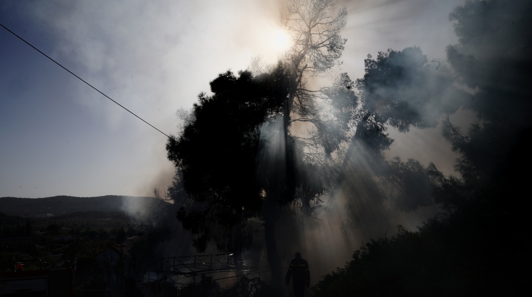 Πολύ υψηλός κίνδυνος πυρκαγιάς σήμερα σε Έβρο και Ροδόπη