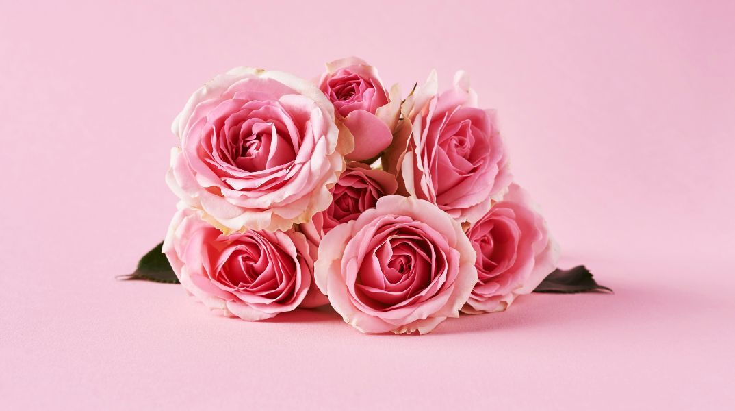 Εορτολόγιο: Ποιοι γιορτάζουν σήμερα 15 Ιουλίου 2024; Η Athens Voice σου τους θυμίζει