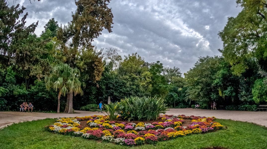 Δήμος Αθηναίων: Αυξημένα μέτρα ασφαλείας λόγω ισχυρών ριπών ανέμου στην Αττική - Κλειστός ο Εθνικός Κήπος - Σε ετοιμότητα ο μηχανισμός