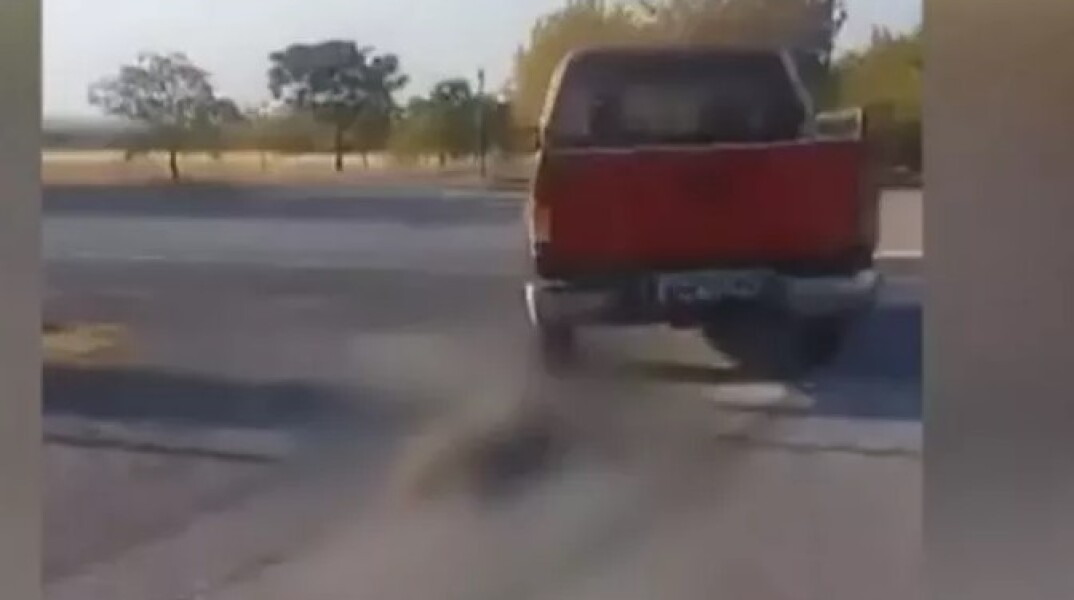 Βέροια: Έδεσε και έσερνε σκύλο με το αγροτικό του αυτοκίνητο