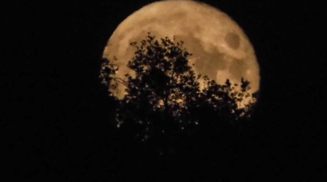 Πανσέληνος Ιουλίου πίσω από τα φυλλώματα δέντρου
