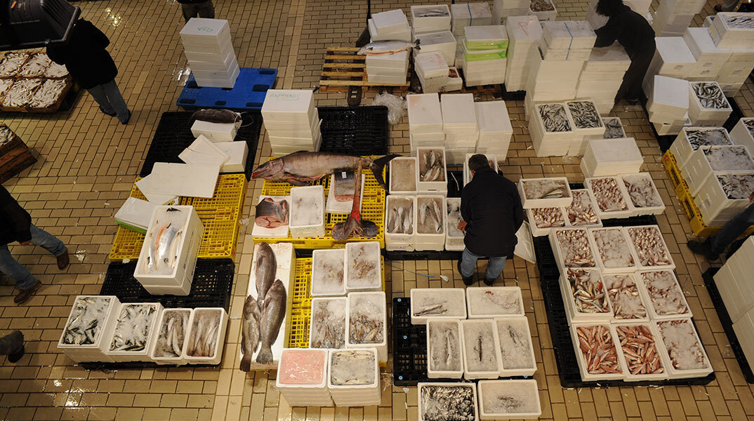 Χαράματα στην Ιχθυόσκαλα Κερατσινίου με τη Μάρω Κουρή