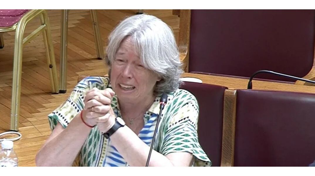 Η Αθηνά Λινού έβαλε τα κλάματα μετά το bullying Πολάκη σε συνεργάτιδα του Γεωργιάδη