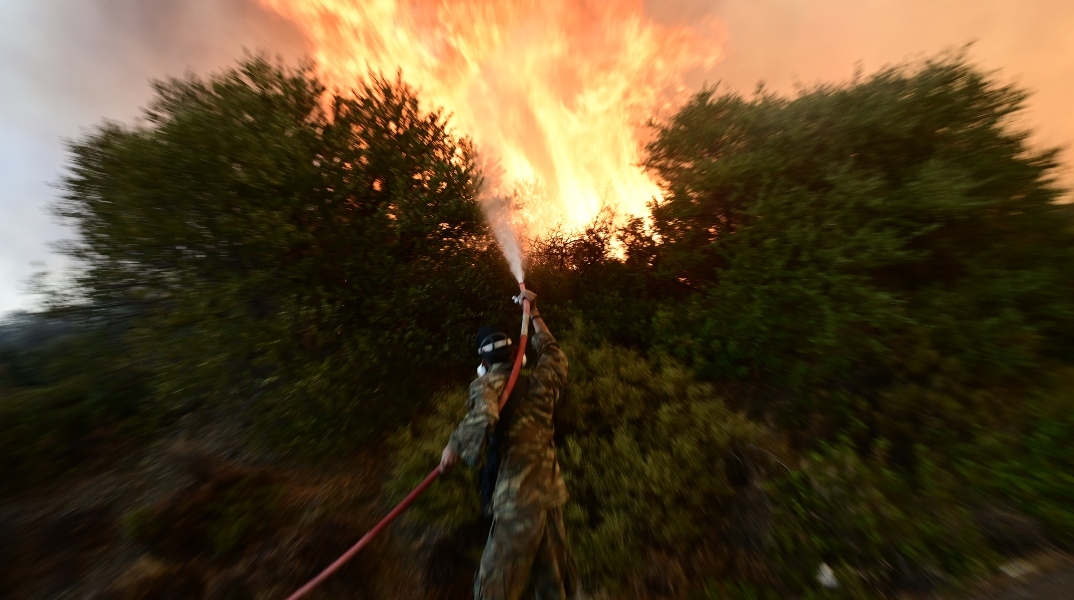 Φωτιά τώρα στην Εύβοια στην περιοχή Πισσώνα