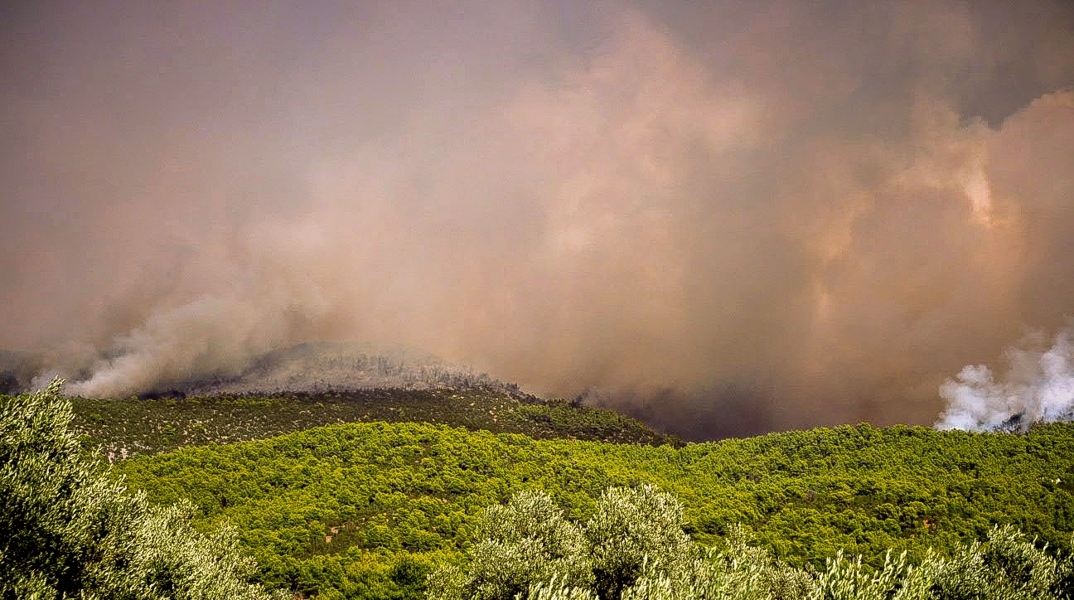 Φωτιές: Η ενημέρωση της πυροσβεστικής