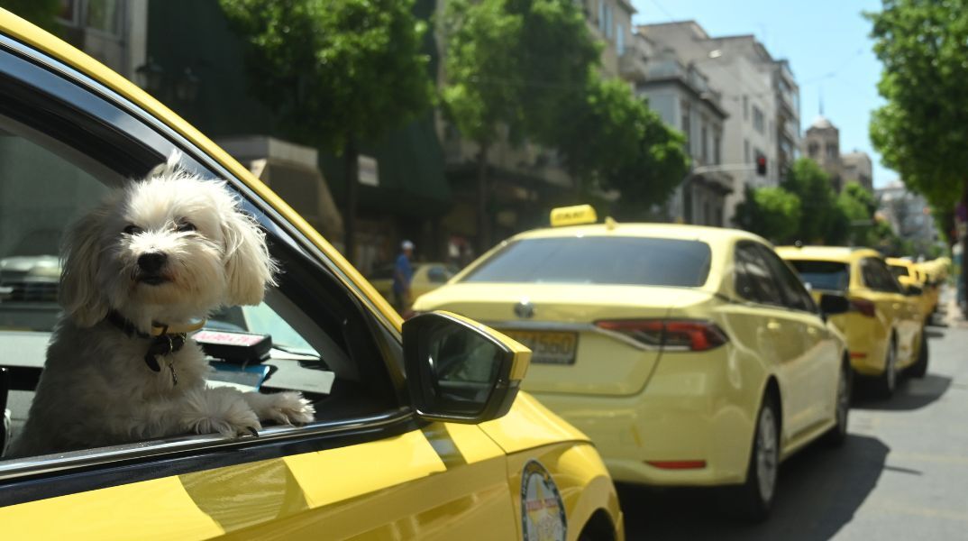 Ταξί: Υποχρεωτική ενημερωτική σήμανση για την αποδοχή πληρωμών με κάρτα - Θα τοποθετείται ειδικό αυτοκόλλητο στα οχήματα.