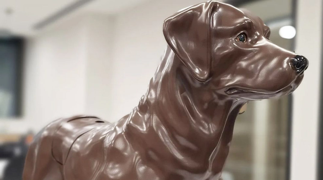 Ευρωπαϊκό Πανεπιστήμιο Κύπρου: Σχολή κτηνιατρικής