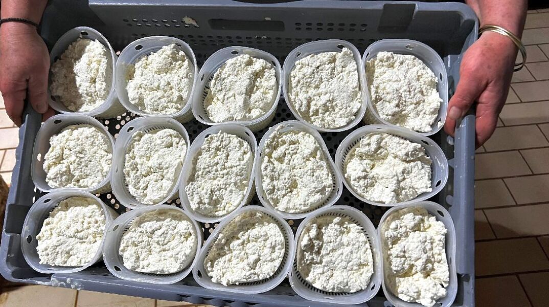 Τυροκομείο Κυριακάκης, Βόρεια Εύβοια