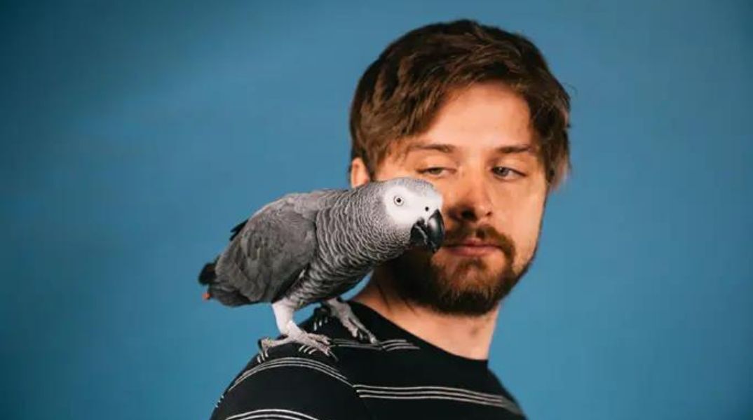 Παπαγάλος πέτυχε ρεκόρ Γκίνες χάρη στην ευφυΐα του - Ο Απόλο κατονόμασε με επιτυχία 12 αντικείμενα σε μόλις 3 λεπτά - Το πανέξυπνο πτηνό έγινε viral στο TikTok.