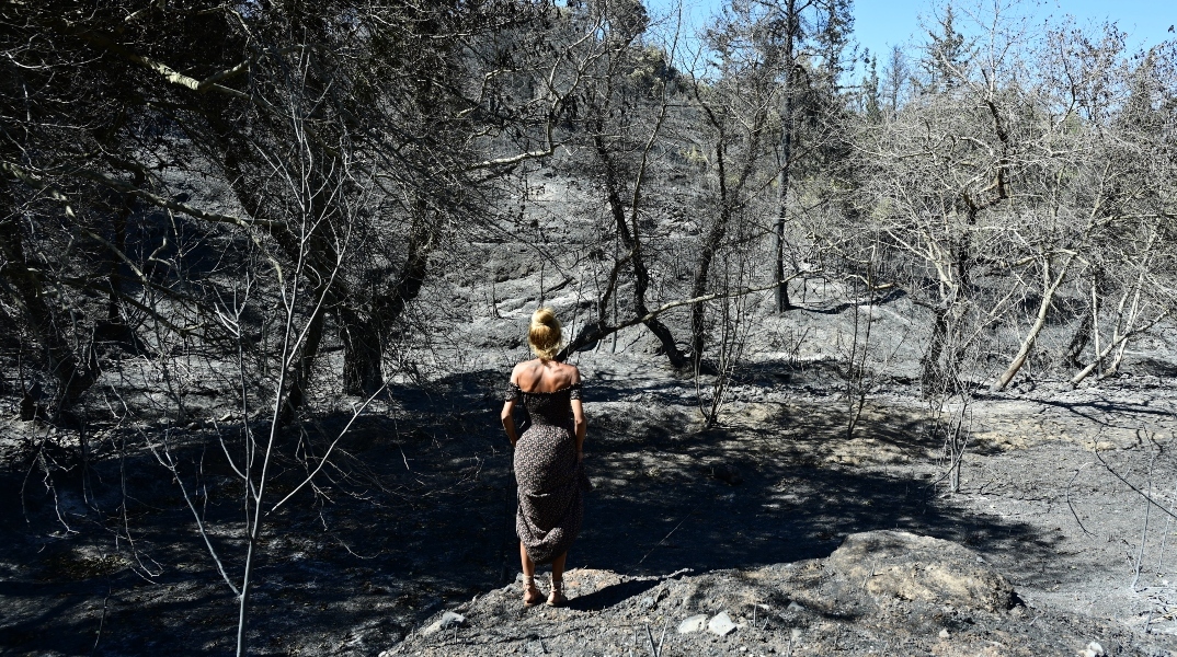 Φωτιά στην Αττική