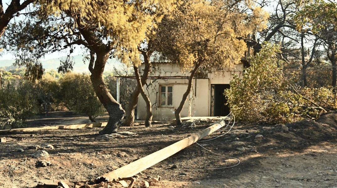 Φωτιά στην Αττική: Βίντεο από το πλιάτσικο στις καμένες περιουσίες 