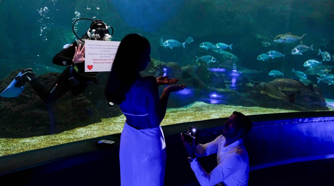 Πρόταση γάμου στο ενυδρείο Ηρακλείου σην Κρήτη