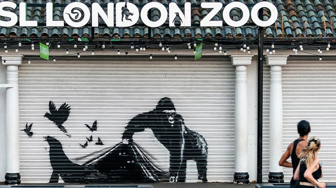 Ο ζωολογικός κήπος του Λονδίνου αφαίρεσε το τελευταίο έργο του Banksy
