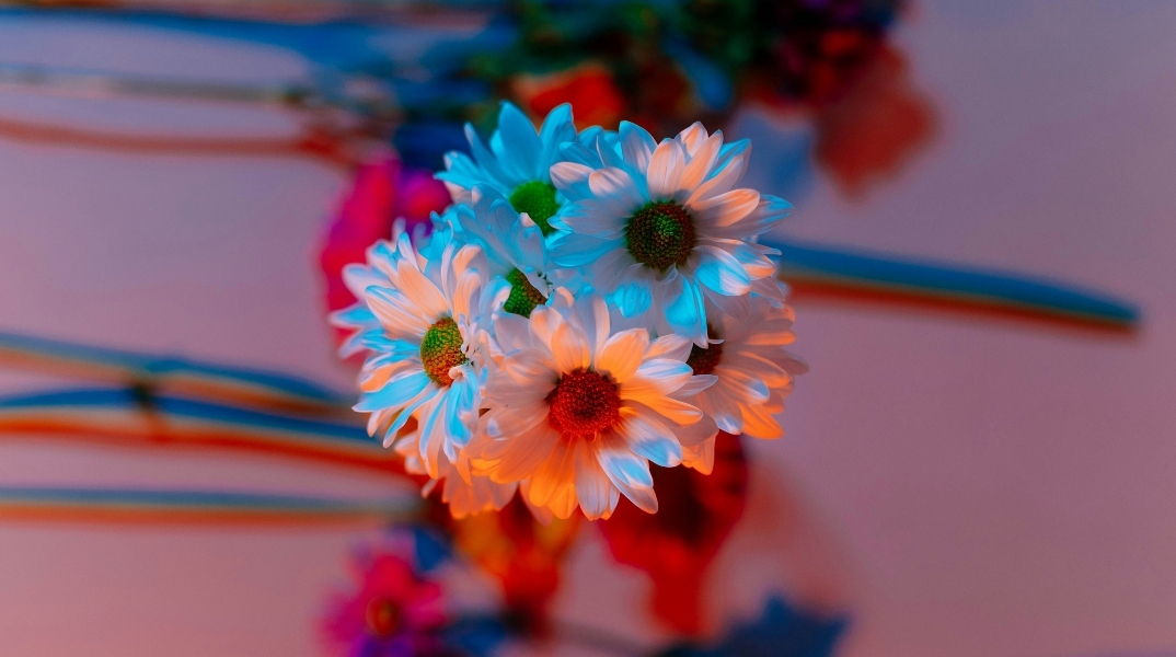 Εορτολόγιο: Σήμερα 20 Αυγούστου 2024 γιορτάζει…