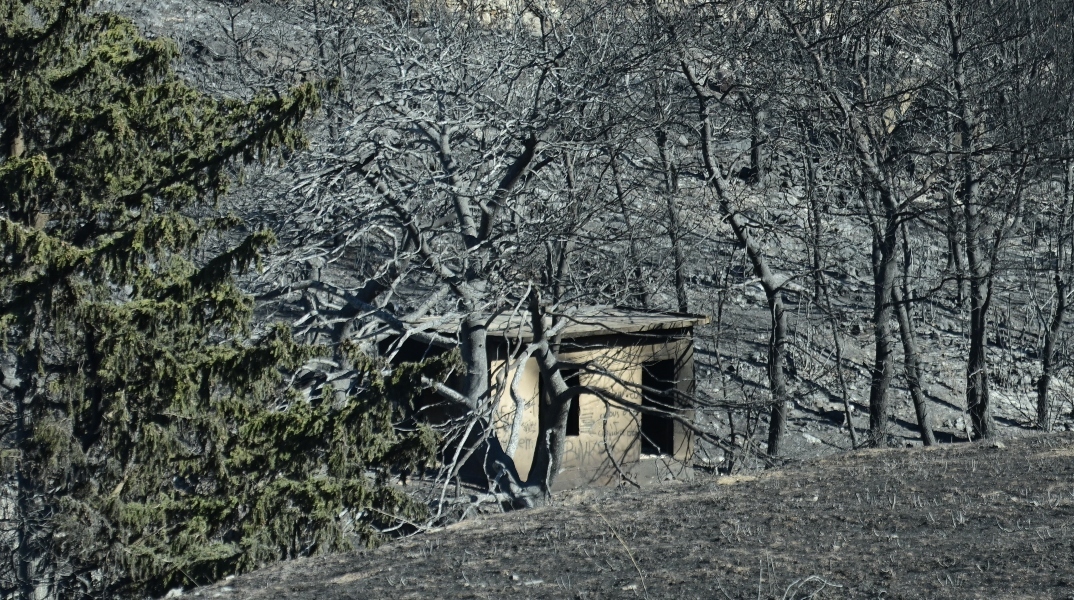 Μπορείς να ομολογήσεις 6 εμπρησμούς, να αθωωθείς και να μην τρέχει τίποτα για κανέναν;