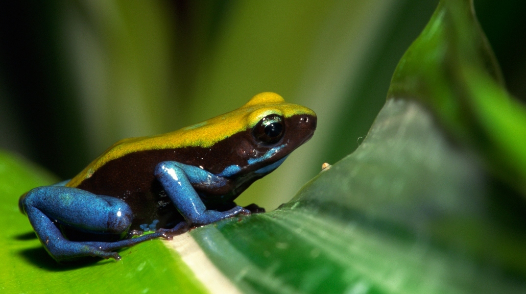 Κλιματική αλλαγή: Επιπτώσεις στον κόσμο που δε γνωρίζαμε
