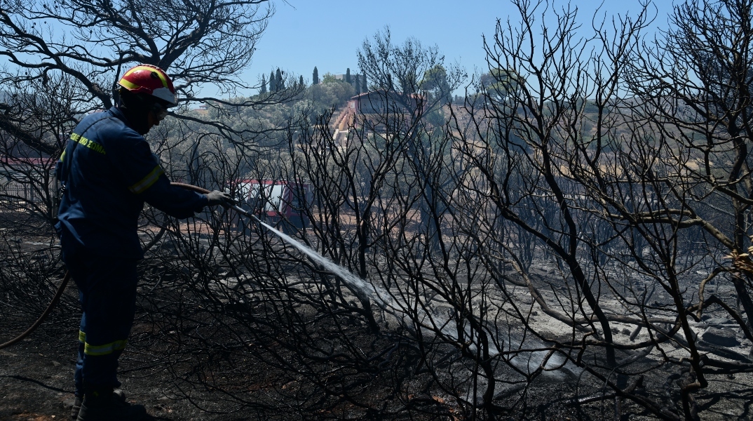 Φωτιά στην Πρέβεζα: Υπό έλεγχο η πυρκαγιά