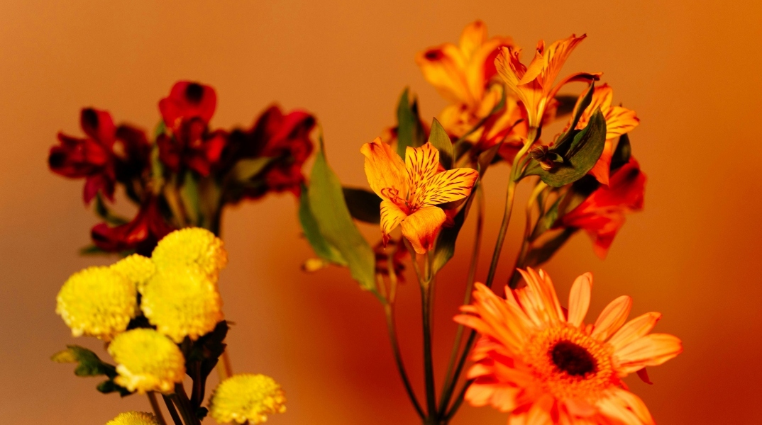 Εορτολόγιο: Σήμερα 27 Αυγούστου 2024 γιορτάζει…