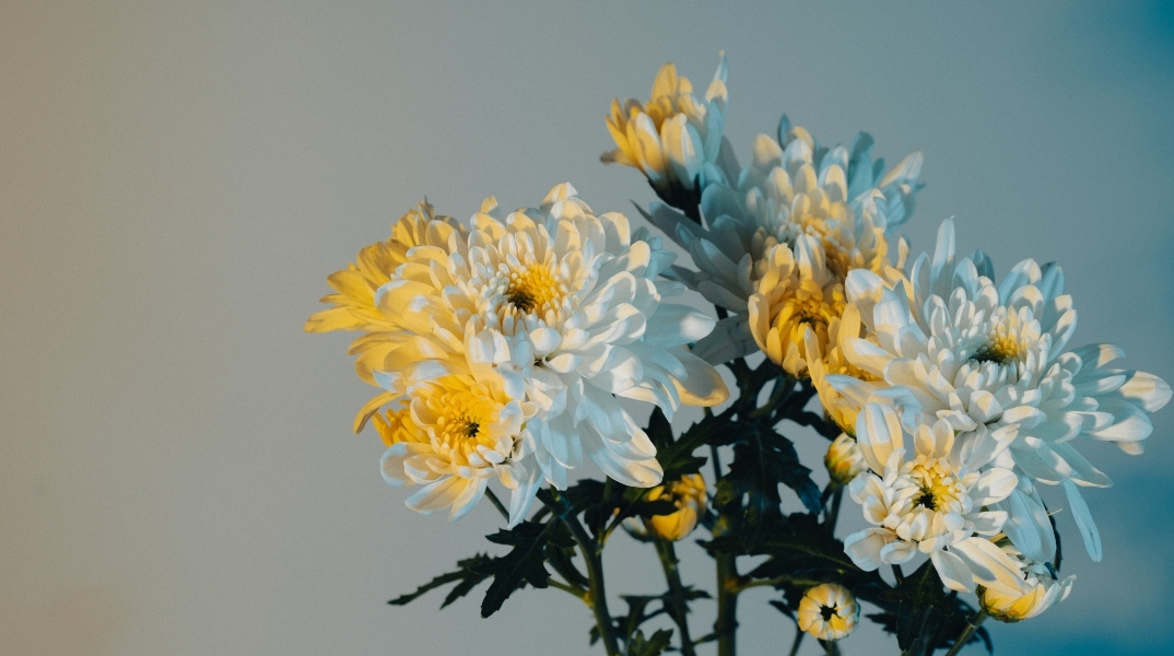 Εορτολόγιο: Σήμερα 11 Δεκεμβρίου 2024 γιορτάζει…