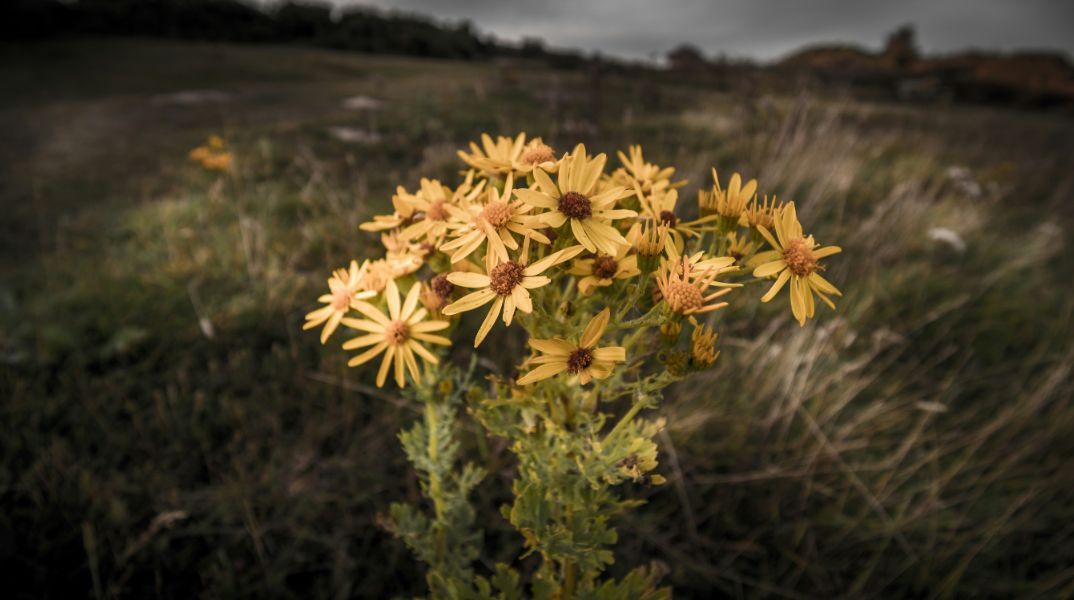 Εορτολόγιο: Σήμερα 21 Ιανουαρίου 2025 γιορτάζει…