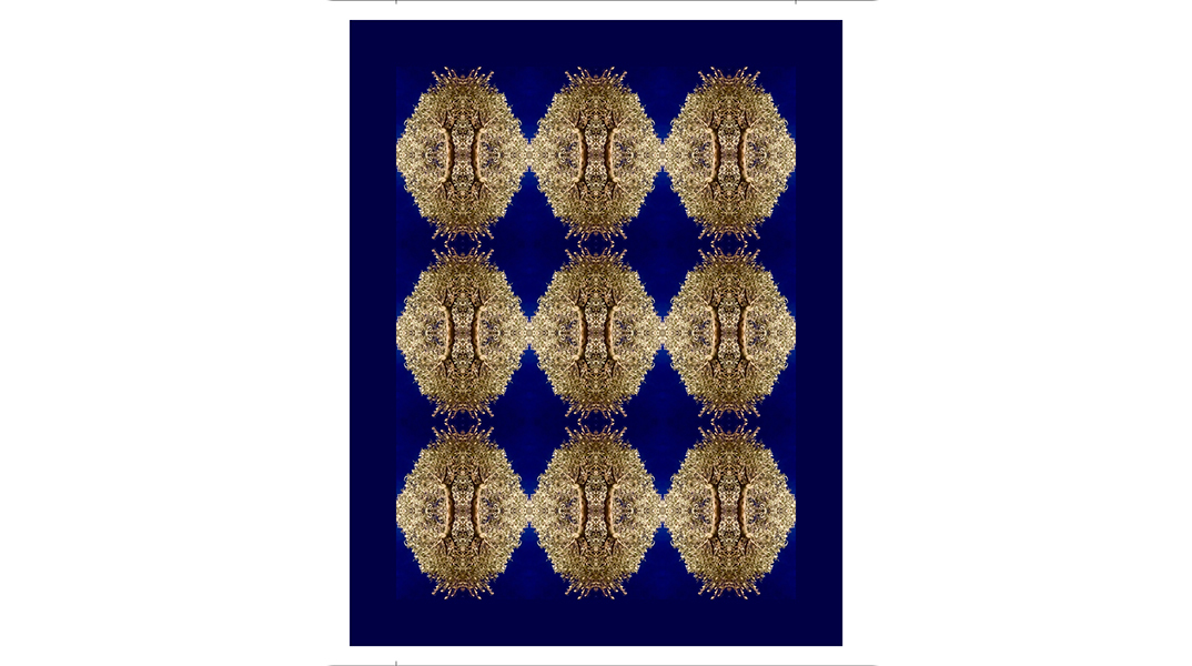 Ιδέες και Σύμβολα: Μια ομαδική εικαστική έκθεση για τη Φέρμελη