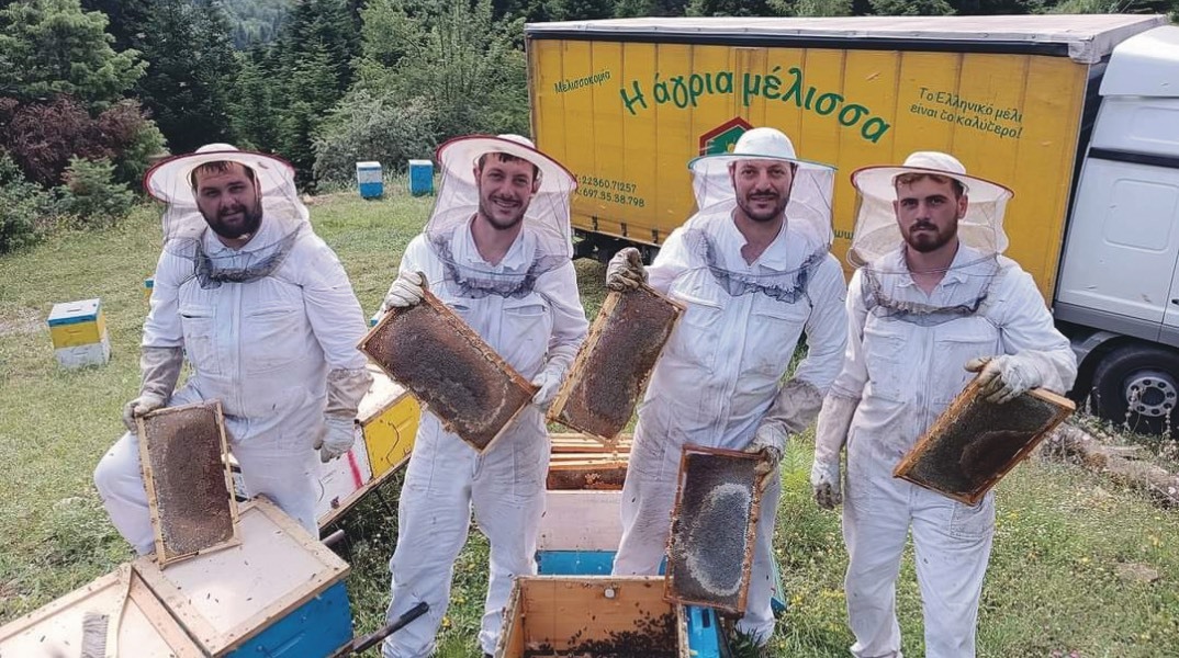 Άγρια Μέλισσα