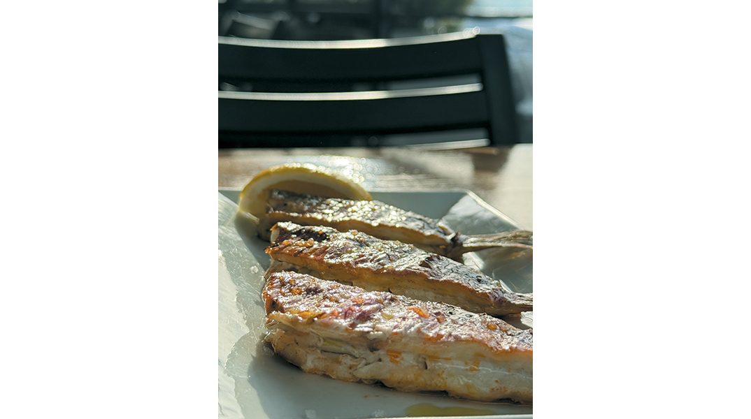 Polpo: Η γαστρονομική ουσία της θάλασσας!