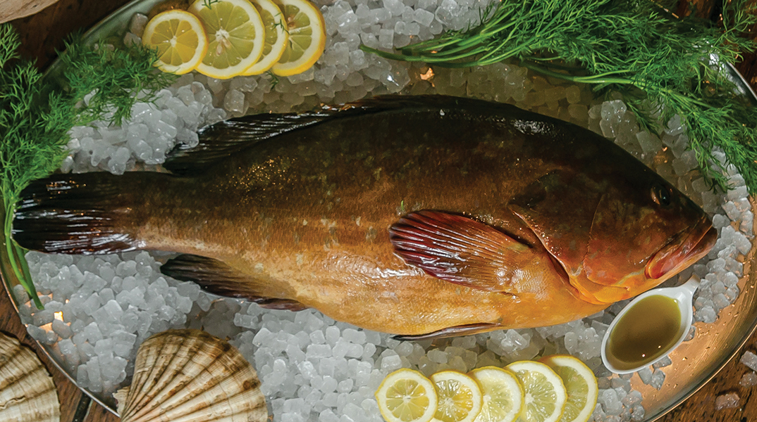 Θαλασσινός: Η θρυλική ψαροταβέρνα στις Τζιτζιφιές