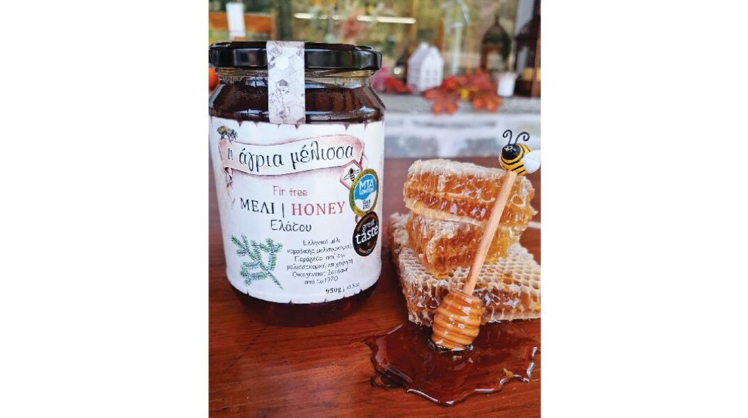 Άγρια Μέλισσα