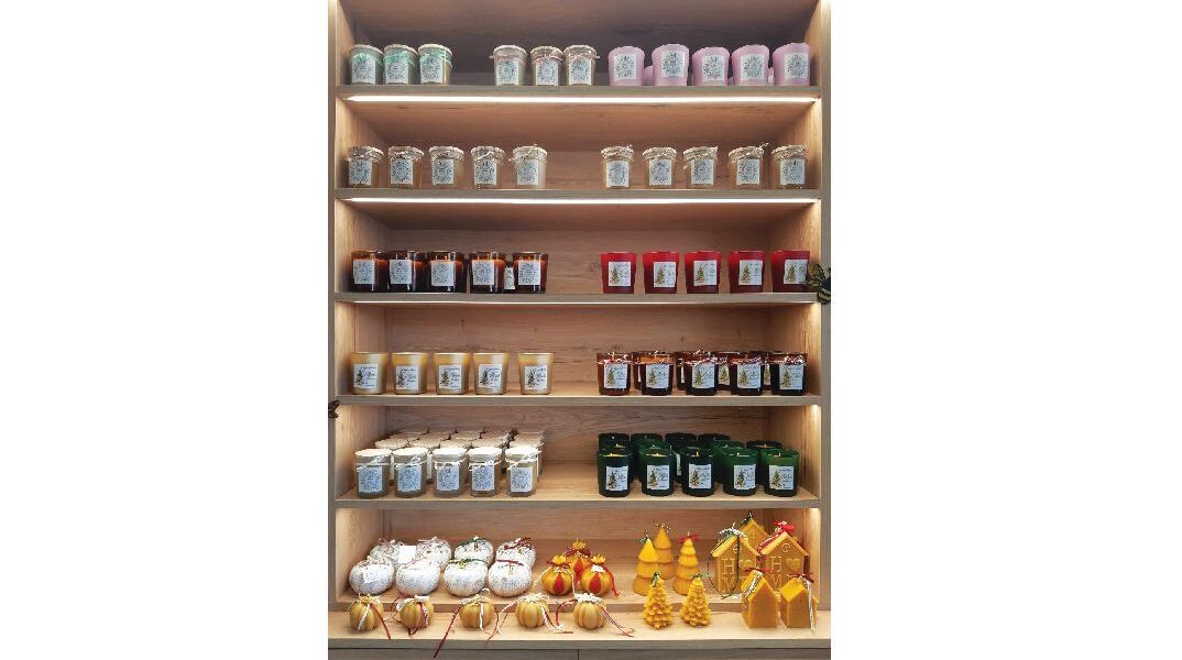 Άγρια Μέλισσα