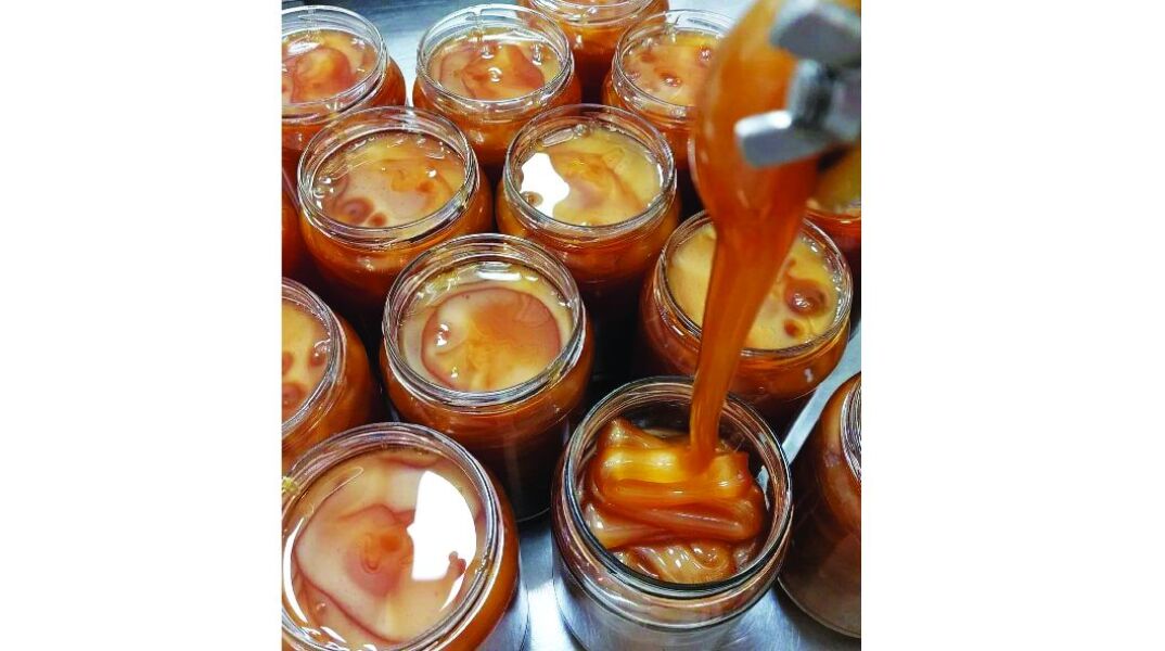 Άγρια Μέλισσα