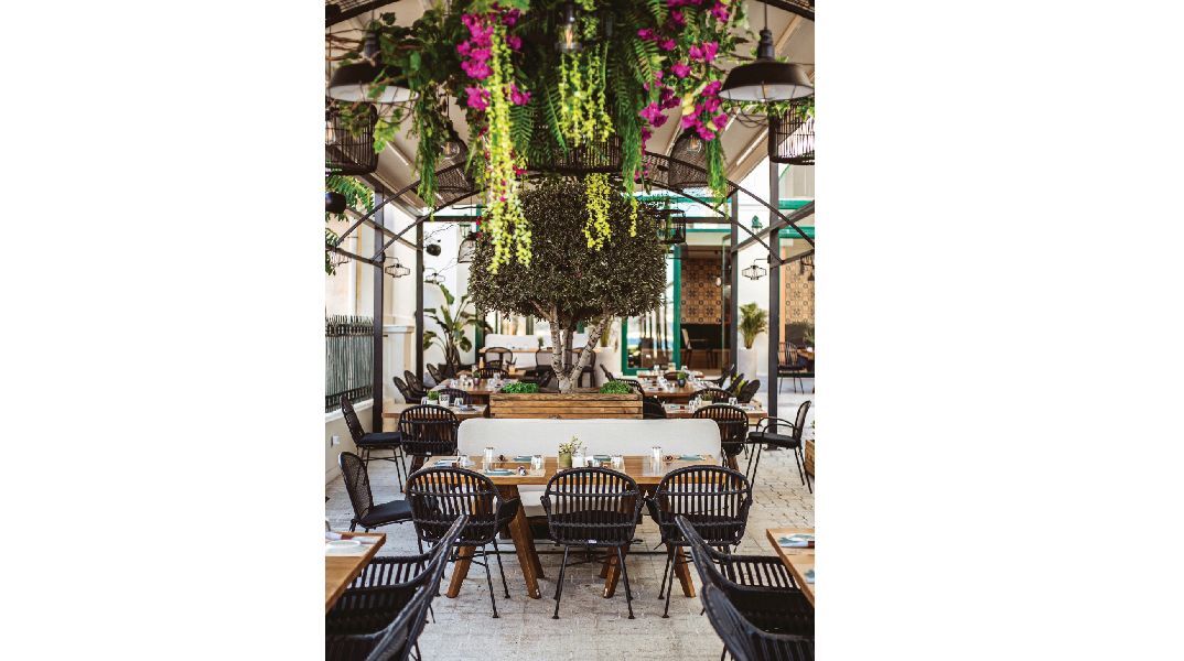  Κουτσή Κατσίκα