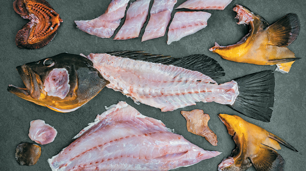 Βασίλαινας: Ιn Head-to-Tail we trust