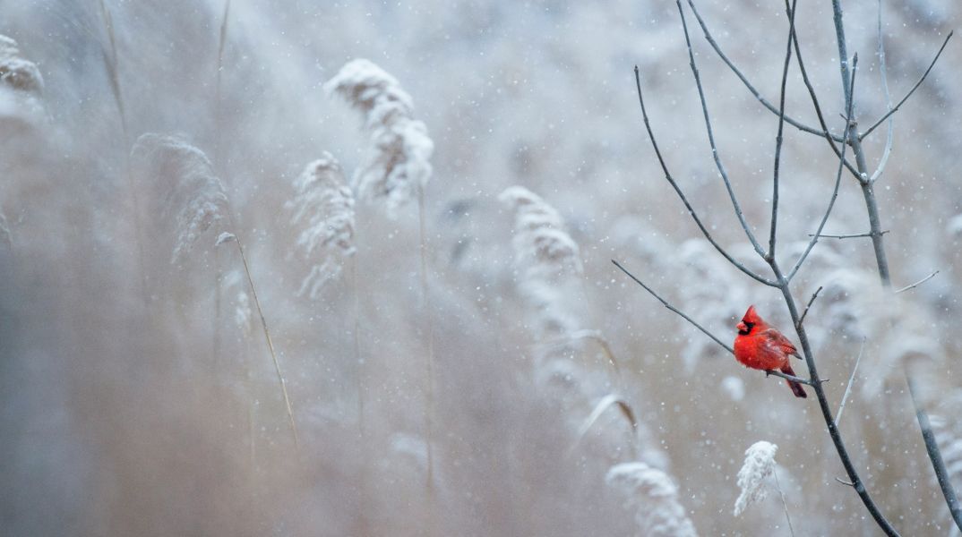 Χειμερινό ηλιοστάσιο 2024: Πότε είναι η μεγαλύτερη νύχτα του χρόνου 