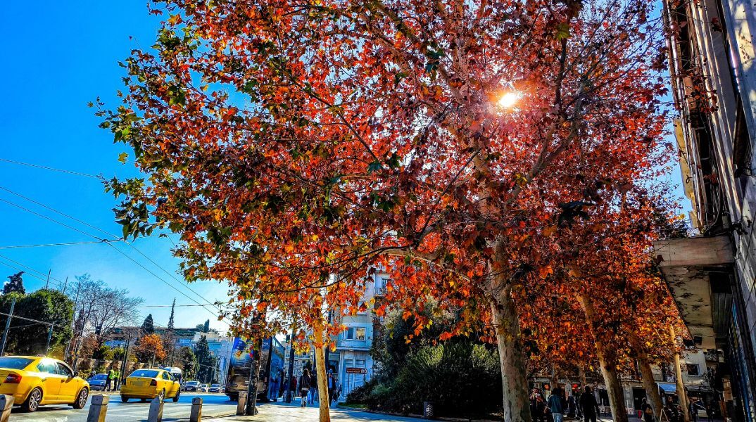 Καιρός: Ανοιξιάτικο το Σαββατοκύριακο - Πότε φτάνει στη χώρα το «σιβηρικό ψύχος»