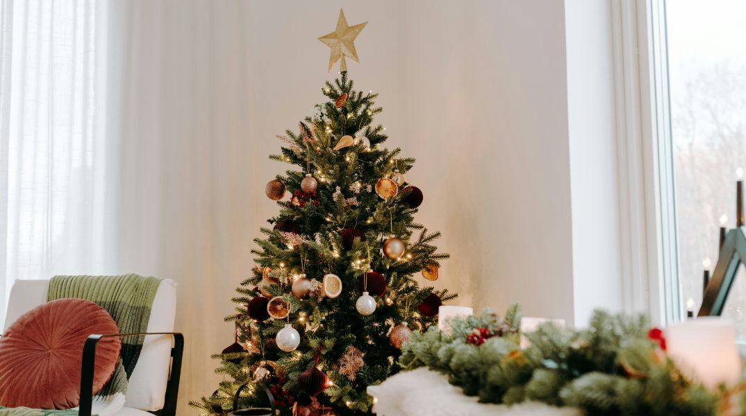  Τι γίνονται τα χριστουγεννιάτικα δέντρα όταν «πεθαίνουν»;