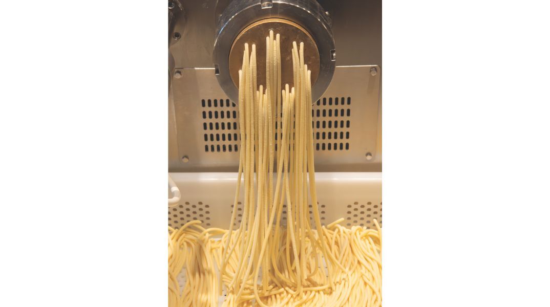 FABRICA PASTA