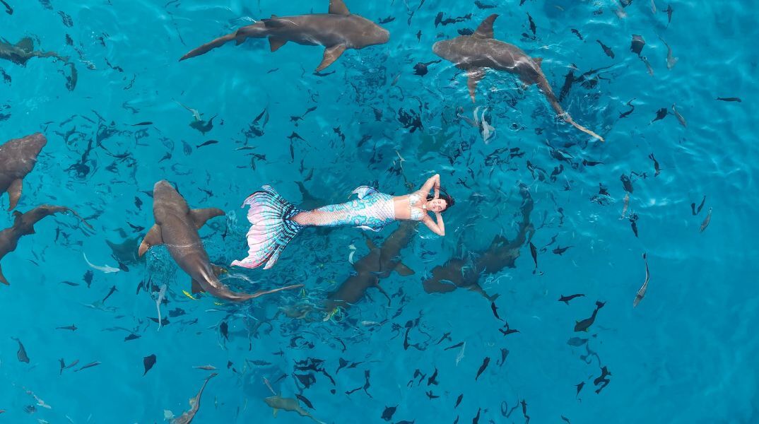 Θεσσαλονίκη: Η πρώτη Ακαδημία Γοργόνων στην Ελλάδα ταξίδεψε στις Μαλδίβες - Κολύμπησε με καρχαρίες και τεράστια σαλάχια