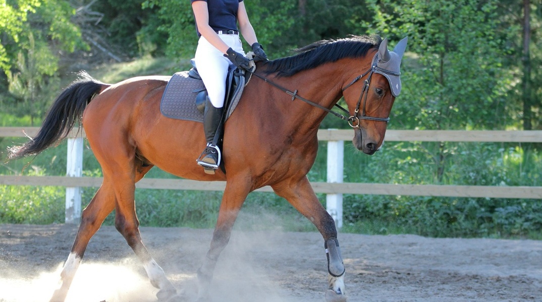 Άτομο κάνει ιππασία