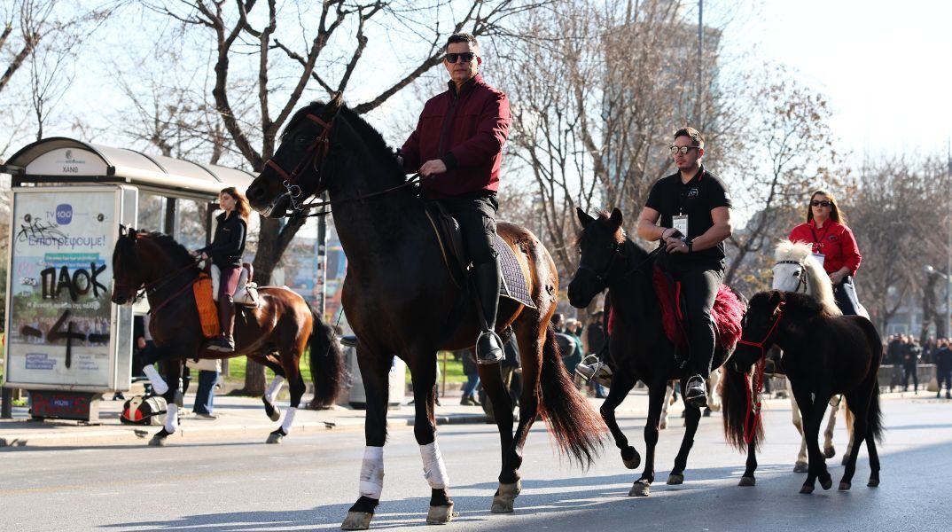 Θεσσαλονίκη: Εντυπωσιακά άλογα έκαναν βόλτα σε κεντρικούς δρόμους της πόλης - Με αφορμή τη 13η Διεθνή Έκθεση για την Κτηνοτροφία και την Πτηνοτροφία Zootechnia