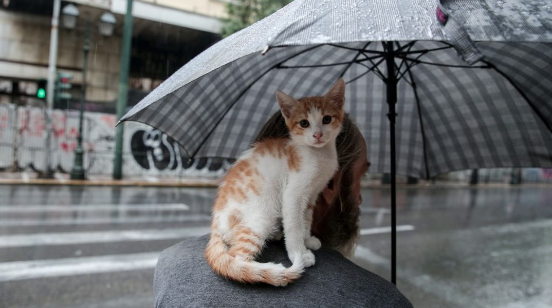 Ο καιρός τη Δευτέρα 3 Φεβρουαρίου 2025 - Βροχές και καταιγίδες σε μεγάλο μέρος της χώρας - Η πρόγνωση του meteo και της Εθνικής Μετεωρολογικής Υπηρεσίας