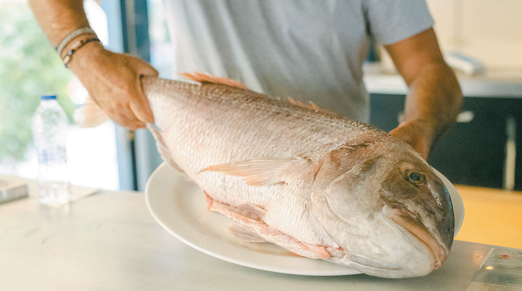 Θεραπευτήριο: Η σταθερή αξία για καλό μαμαδίστικο φαγητό ημέρας
