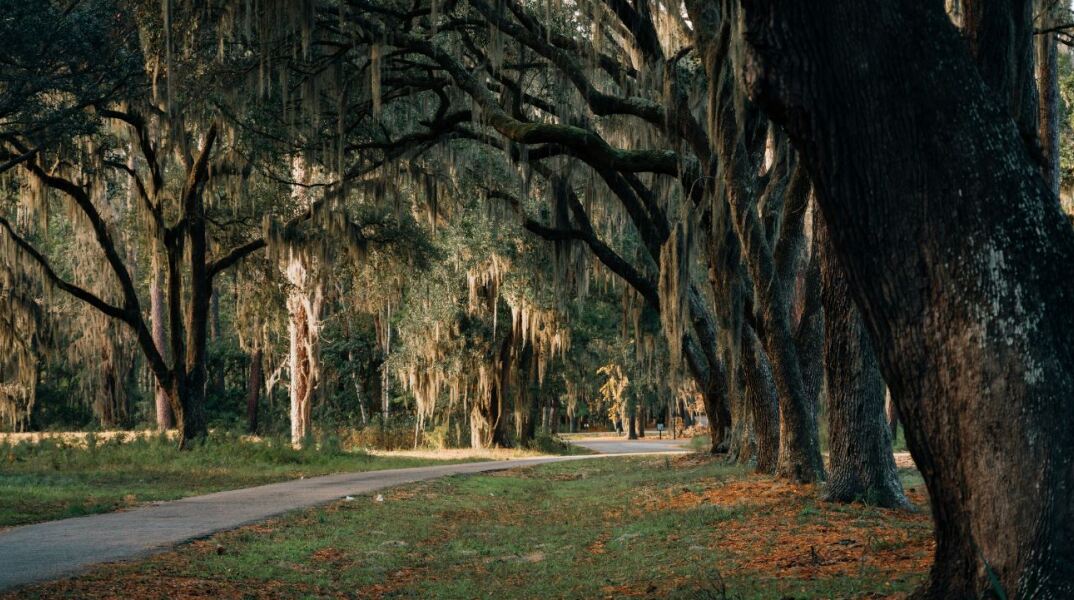Λύθηκε το μυστήριο πίσω από το «φάντασμα του Σάμερβιλ» στη Νότια Καρολίνα
