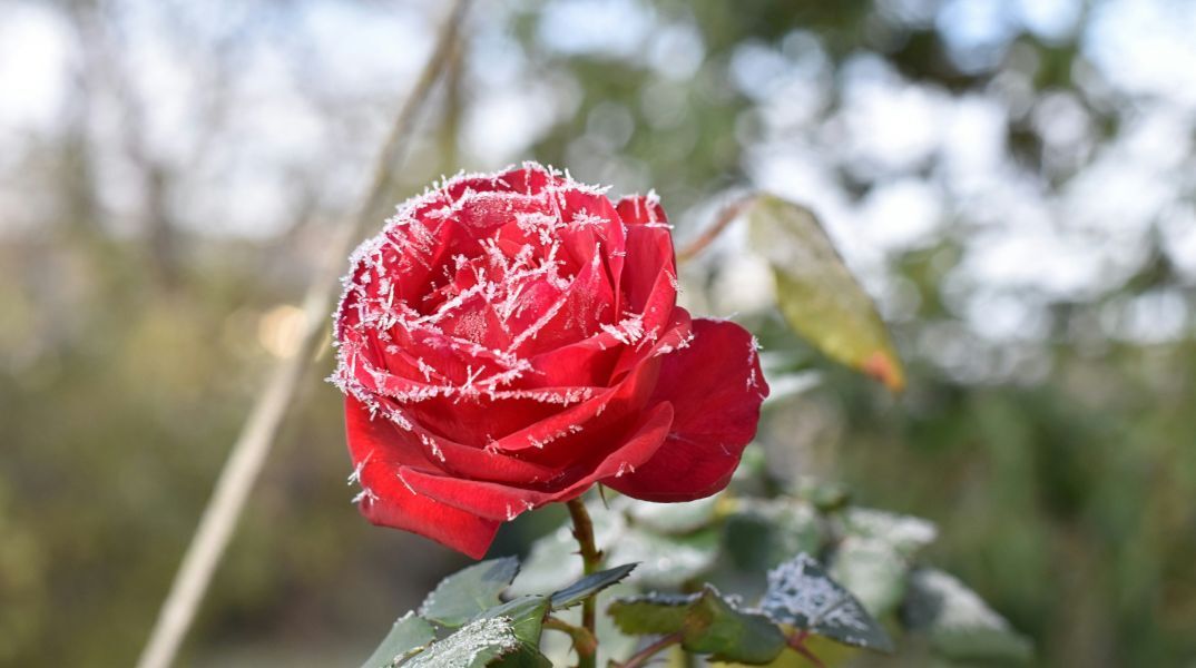 Εορτολόγιο: Σήμερα 21 Φεβρουαρίου 2025 γιορτάζει…