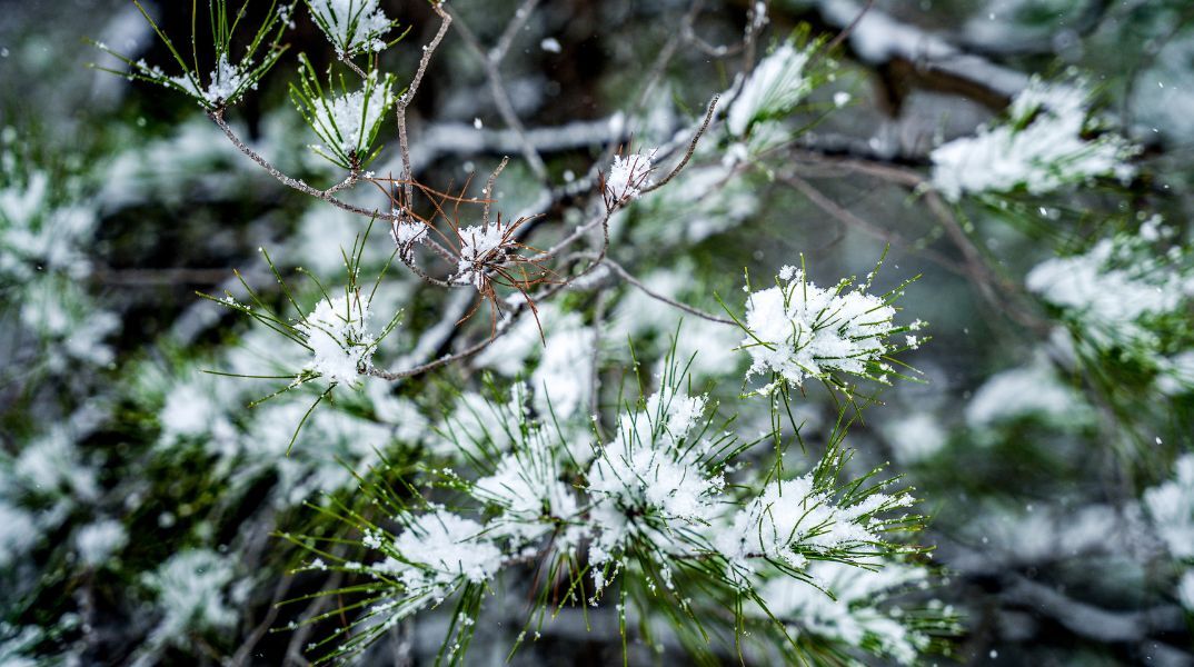 Ο καιρός σήμερα, Σαββατο 22 Φεβρουαρίου: Νέα πτώση της θερμοκρασίας - Πιθανότητα χιονοπτώσεων - Αναλυτική πρόγνωση από το meteo και την ΕΜΥ