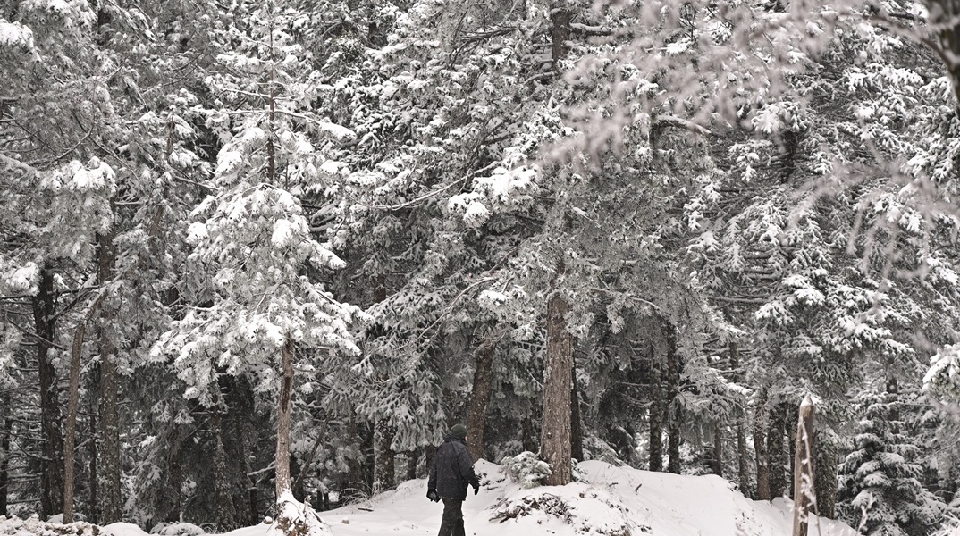 Χιονισμένο τοπίο στην Πάρνηθα