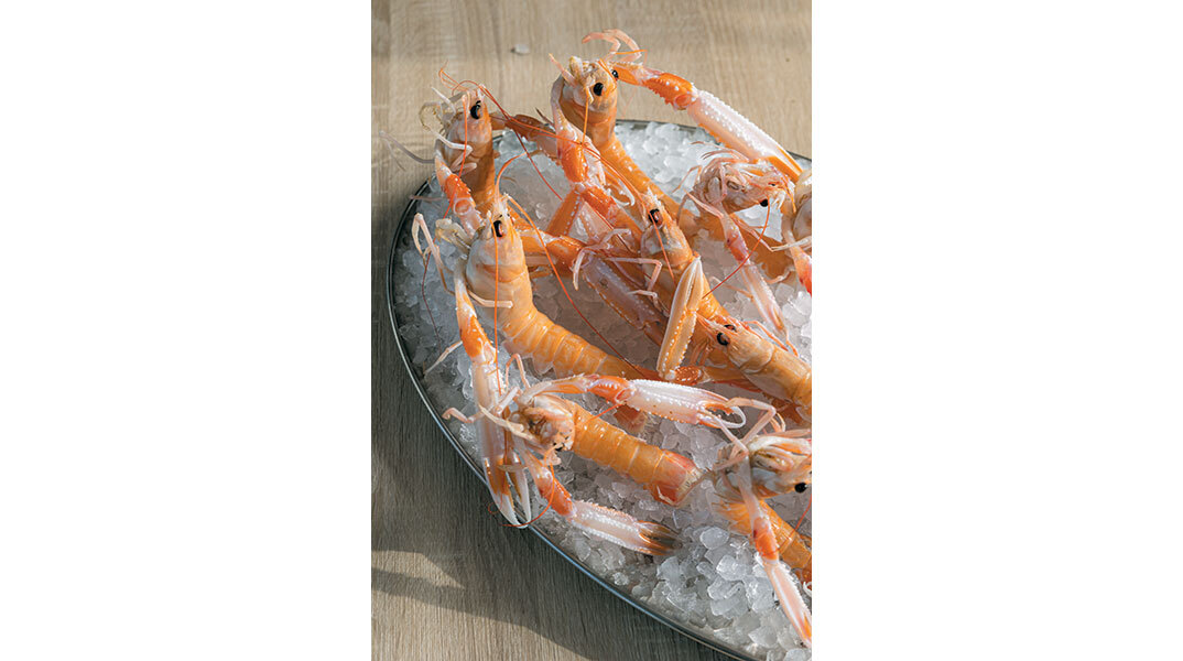 Polpo: Οι λόγοι που το αγαπάμε είναι πολλοί, νόστιμοι και λαχταριστοί