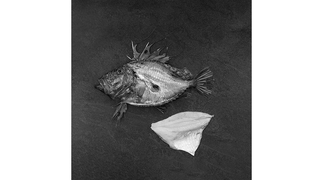 Βασίλαινας: Η γοητεία του κλασικού!