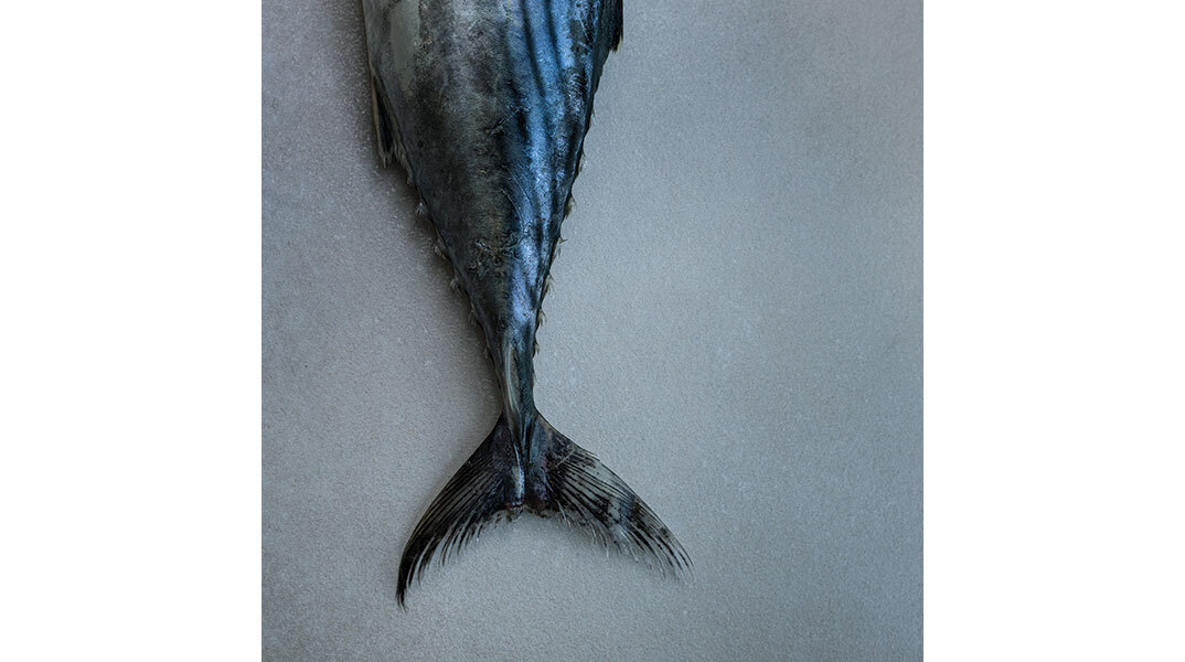 Βασίλαινας: Η γοητεία του κλασικού!