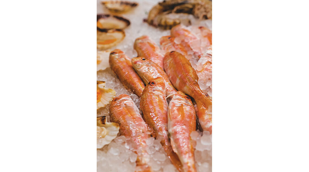 Fish Market: Πιο φρέσκο ψάρι δεν γίνεται!